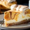 Marbled Pumpkin Cheesecake