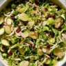 brussel sprout salad
