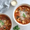 lasagna soup